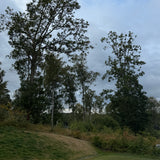 PT-timme hos dig - Hills Villastad